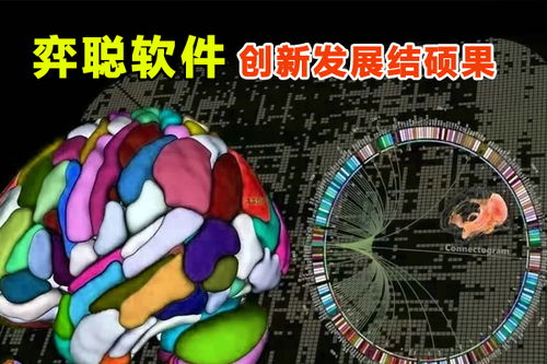 弈聰軟件科研創(chuàng)新結(jié)碩果,50多項(xiàng)專利授權(quán)技術(shù)催生發(fā)展動(dòng)能